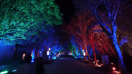 ���g22 - �ٷ���վ -- ÿ���о�ϲ