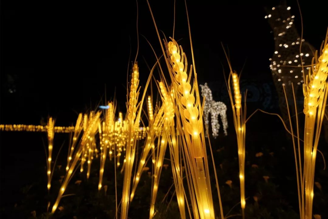 ���g22 - �ٷ���վ -- ÿ���о�ϲ