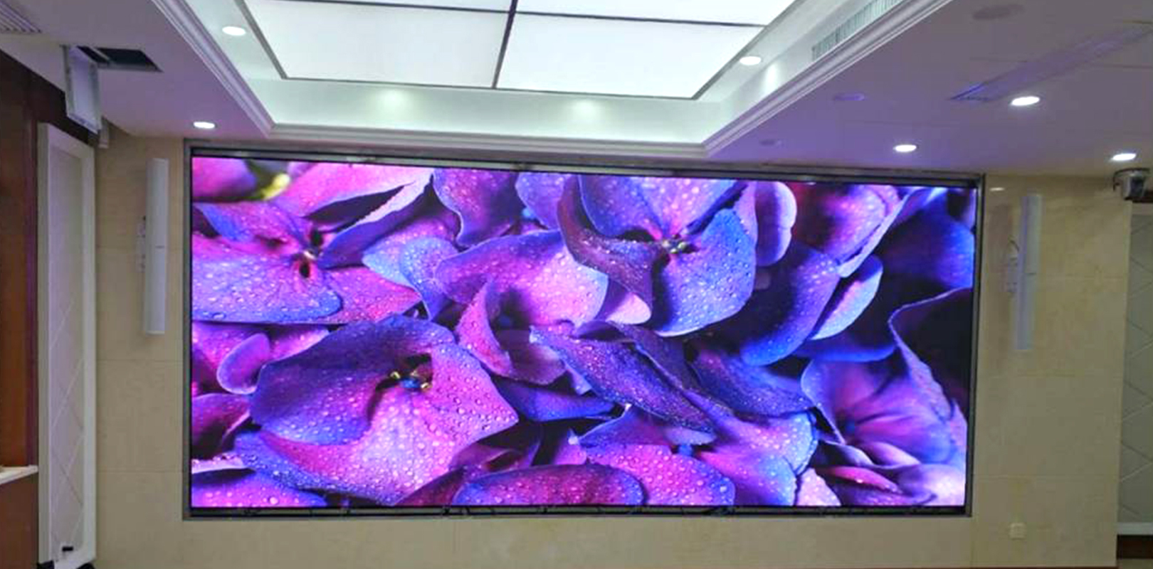 ���g22 - �ٷ���վ -- ÿ���о�ϲ