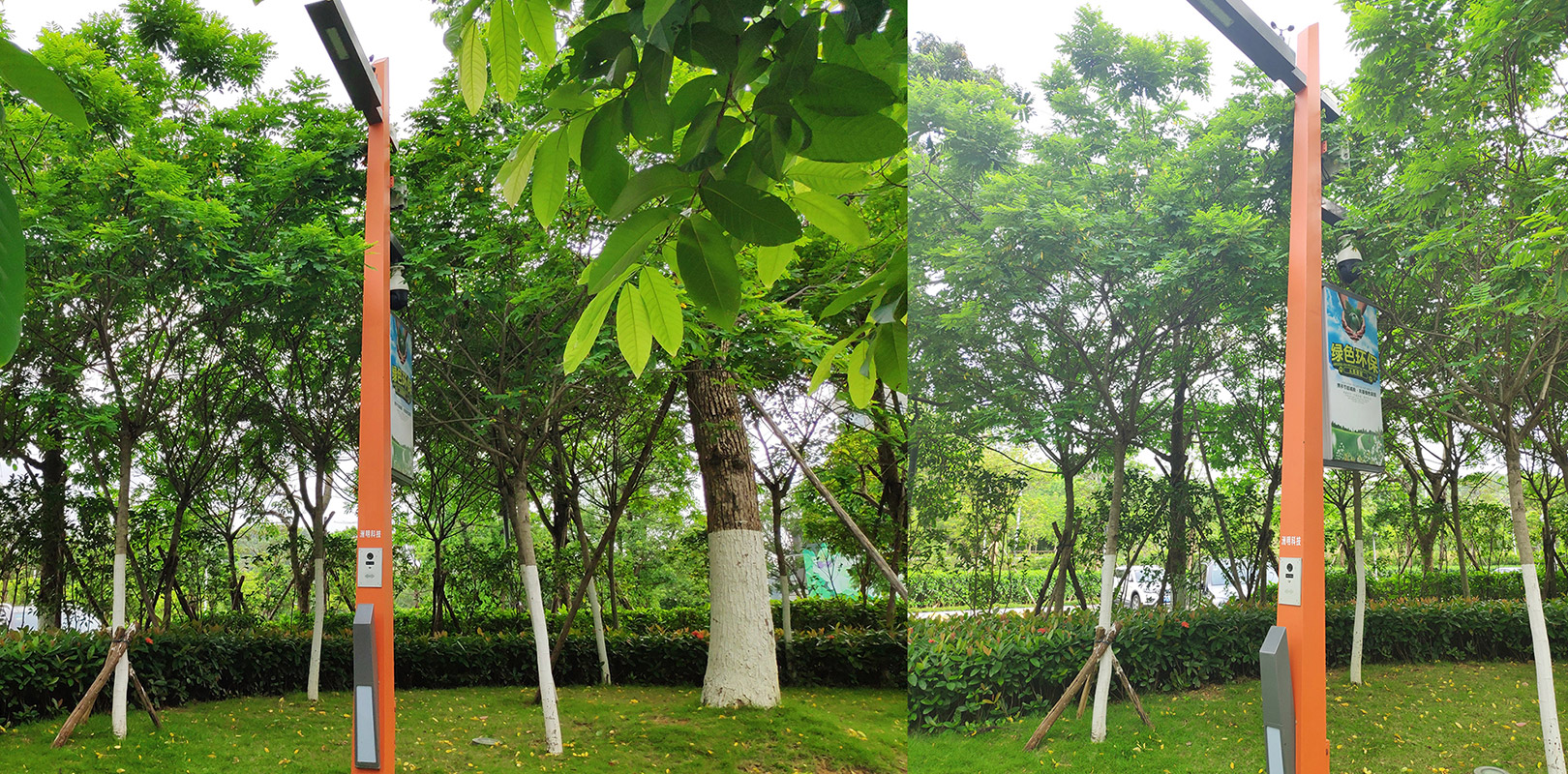 ���g22 - �ٷ���վ -- ÿ���о�ϲ