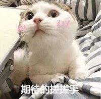 ���g22 - �ٷ���վ -- ÿ���о�ϲ