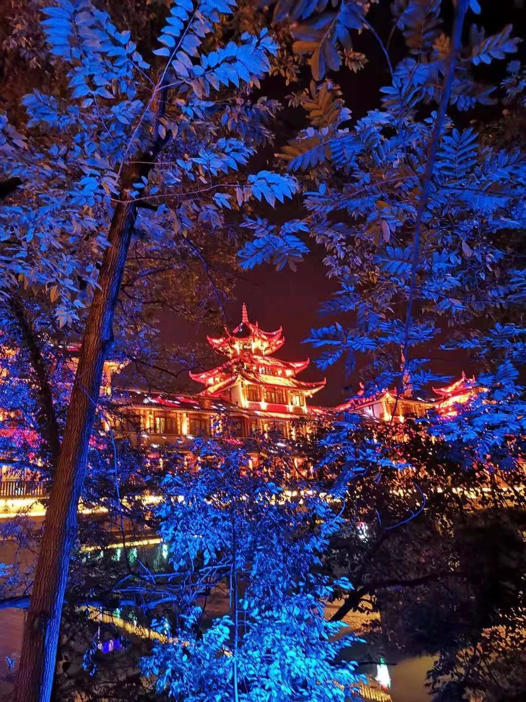 ���g22 - �ٷ���վ -- ÿ���о�ϲ