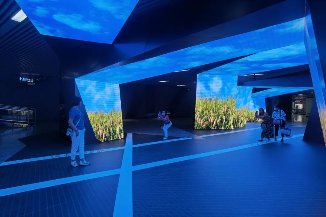 ���g22 - �ٷ���վ -- ÿ���о�ϲ