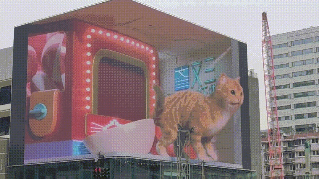 ���g22 - �ٷ���վ -- ÿ���о�ϲ