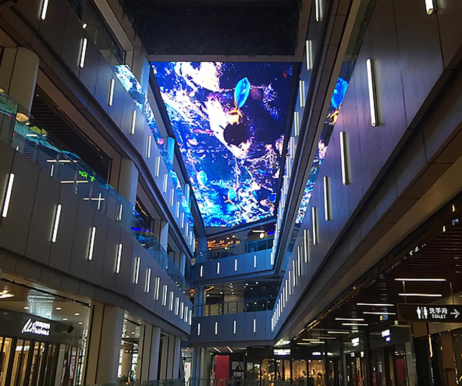 ���g22 - �ٷ���վ -- ÿ���о�ϲ