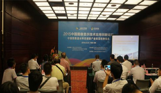 26173245559 26173245559